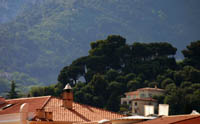 Montagne derrire la Turbie